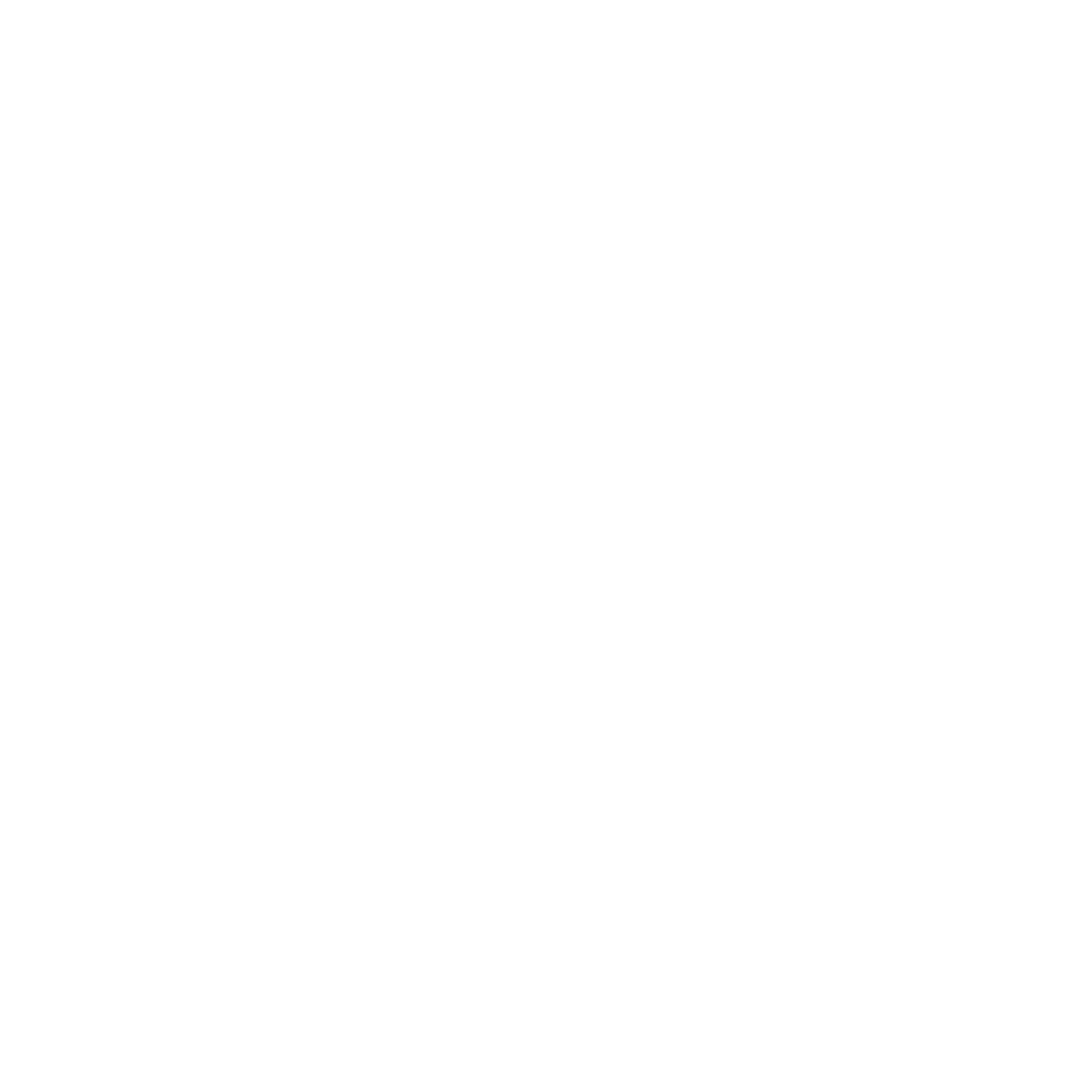 word-press-logo